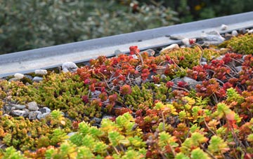 the cost of Quatquoy green roof installation