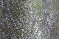 Quatquoy fibreglass roof work